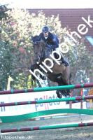 2016-09-18: Chelsea  bei Reitturnier in Crivitz