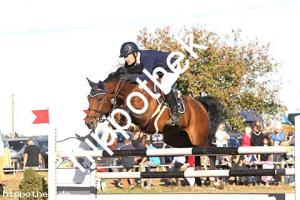 2016-09-18: Hariko P.M.S.  bei Reitturnier in Crivitz