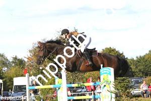 2016-09-18: Caiser Cash  bei Reitturnier in Crivitz