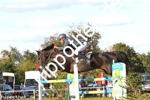 2016-09-18: Chaleen  bei Reitturnier in Crivitz