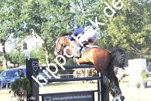 2016-09-18: Hariko P.M.S.  bei Reitturnier in Crivitz