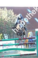 2016-09-18: Linus  bei Reitturnier in Crivitz
