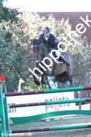 2016-09-18: Chelsea  bei Reitturnier in Crivitz