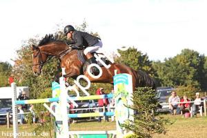 2016-09-18: Quester  bei Reitturnier in Crivitz