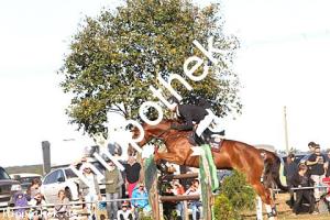 2016-09-18: Papa ante Portas  bei Reitturnier in Crivitz