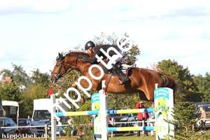 2016-09-18: Papa ante Portas  bei Reitturnier in Crivitz