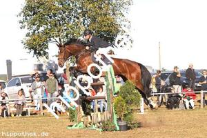 2016-09-18: Quester  bei Reitturnier in Crivitz