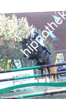 2016-09-18: Chaleen  bei Reitturnier in Crivitz