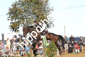 2016-09-18: Caiser Cash  bei Reitturnier in Crivitz