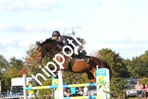 2016-09-18: Chelsea  bei Reitturnier in Crivitz