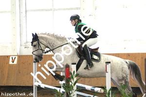 2017-03-05: Bea  bei Vielseitigkeit LM Halle in Sanitz