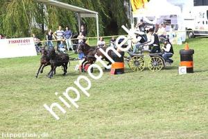 2017-07-30: Fips, Honeymoons Dream, Fugetsch, Kalina  bei Reitturnier in Blowatz