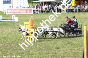 2017-07-30: Carina, Carino, Rocky, Sanette  bei Reitturnier in Blowatz