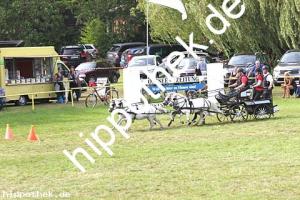 2017-07-30: Carina, Carino, Rocky, Sanette  bei Reitturnier in Blowatz