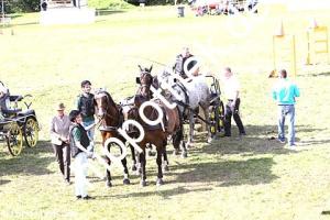 2017-07-30:  bei Reitturnier in Blowatz