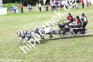 2017-07-30: Carina, Carino, Rocky, Sanette  bei Reitturnier in Blowatz