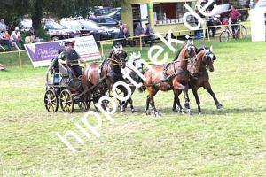 2017-07-30: Bella-Justine, Ferrollin, Aragorn, Astra  bei Reitturnier in Blowatz
