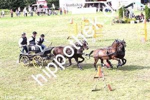 2017-07-30: Fips, Honeymoons Dream, Fugetsch, Kalina  bei Reitturnier in Blowatz