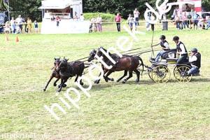 2017-07-30: Fips, Honeymoons Dream, Fugetsch, Kalina  bei Reitturnier in Blowatz