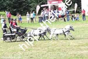 2017-07-30: Carina, Carino, Rocky, Sanette  bei Reitturnier in Blowatz
