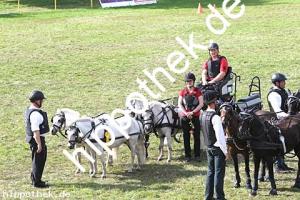 2017-07-30:  bei Reitturnier in Blowatz