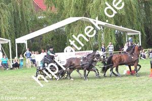 2017-07-30: Bella-Justine, Ferrollin, Aragorn, Astra  bei Reitturnier in Blowatz