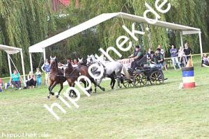 2017-07-30: Bella-Justine, Ferrollin, Aragorn, Astra  bei Reitturnier in Blowatz