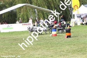 2017-07-30: Carina, Carino, Rocky, Sanette  bei Reitturnier in Blowatz