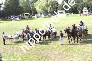 2017-07-30:  bei Reitturnier in Blowatz