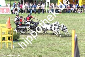 2017-07-30: Carina, Carino, Rocky, Sanette  bei Reitturnier in Blowatz