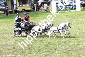 2017-07-30: Carina, Carino, Rocky, Sanette  bei Reitturnier in Blowatz