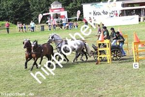 2017-07-30: Bella-Justine, Ferrollin, Aragorn, Astra  bei Reitturnier in Blowatz