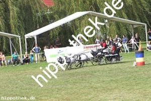 2017-07-30: Carina, Carino, Rocky, Sanette  bei Reitturnier in Blowatz