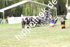 2017-07-30: Fips, Honeymoons Dream, Fugetsch, Kalina  bei Reitturnier in Blowatz