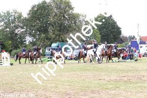 2017-09-17:  bei Reitturnier in Crivitz