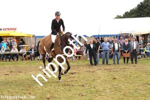 2017-09-17:  bei Reitturnier in Crivitz