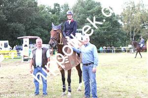 2017-09-17:  bei Reitturnier in Crivitz