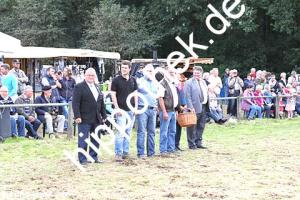 2017-09-17:  bei Reitturnier in Crivitz
