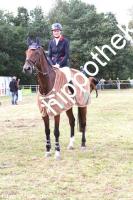 2017-09-17:  bei Reitturnier in Crivitz
