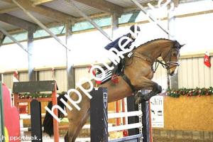 2017-12-10: Celin  bei Reitturnier in Bütow