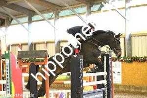 2017-12-10: Dollar Du Alme  bei Reitturnier in Bütow