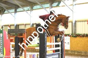 2017-12-10: Caramel  bei Reitturnier in Bütow
