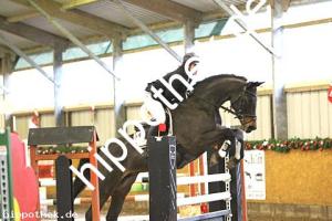 2017-12-10: L'amour  bei Reitturnier in Bütow