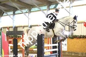 2017-12-10: Carda  bei Reitturnier in Bütow