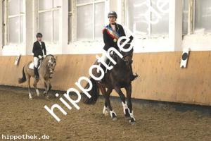 2018-12-01:  bei Hallen LM mit Geländehindernissen in Sanitz