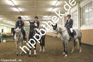2018-12-01:  bei Hallen LM mit Geländehindernissen in Sanitz