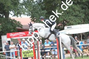 2019-09-01: Donna Lottchen  bei Reitturnier in Güstrow