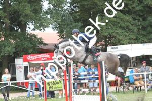 2019-09-01: Colonja  bei Reitturnier in Güstrow