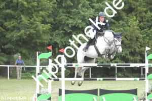 2019-09-01: Donna Lottchen  bei Reitturnier in Güstrow