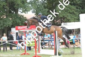 2019-09-01: Charly-Brown  bei Reitturnier in Güstrow